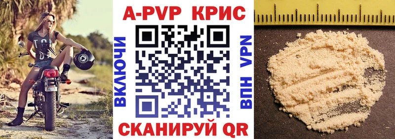Альфа ПВП СК КРИС  Будённовск 