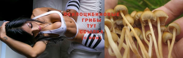 кокаин Вяземский