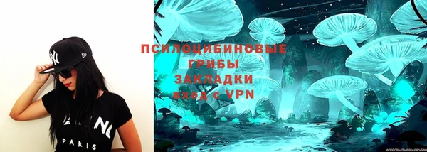 мескалин Горнозаводск