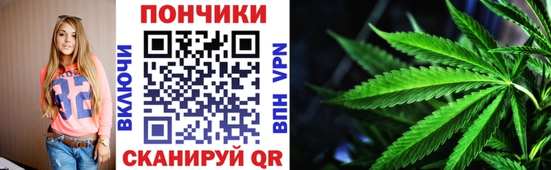 купить закладку  Будённовск  Шишки марихуана сатива 